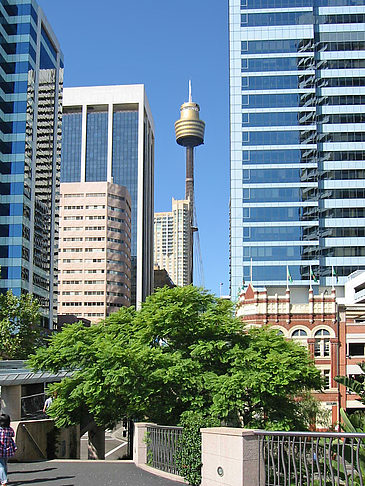 Sydney Tower - Neusüdwales (Sydney)