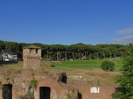 Ruine der ehemaligen Südtribüne - Latium (Rom) (Rom)