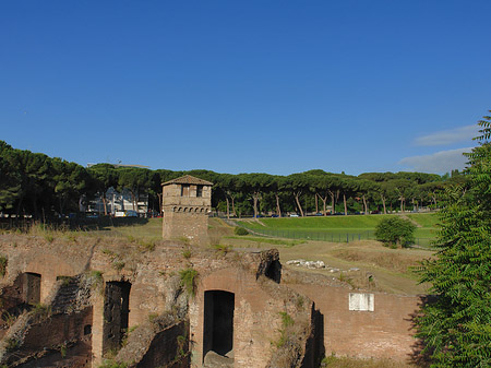 Ruine der ehemaligen Südtribüne - Latium (Rom) (Rom)