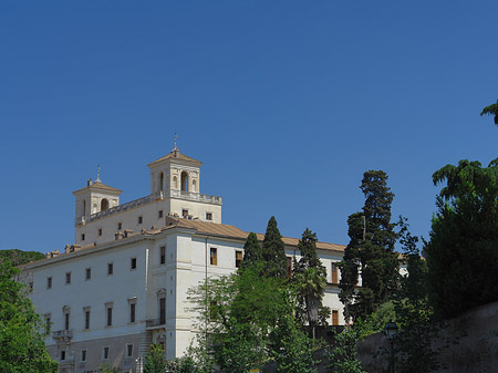 Villa hinter Bäumen - Latium (Rom) (Rom)