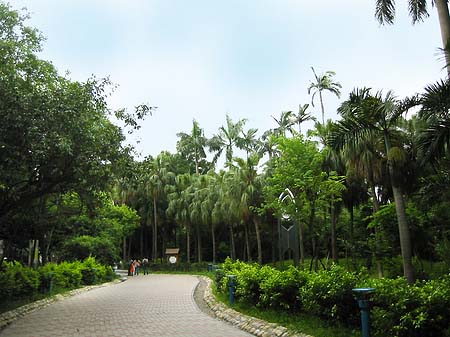 Botanischer Garten - Taiwan (Taipeh)