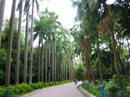 Botanischer Garten - Taiwan (Taipeh)