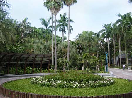 Botanischer Garten - Taiwan (Taipeh)