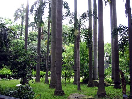 Botanischer Garten - Taiwan (Taipeh)