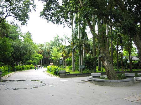 Botanischer Garten - Taiwan (Taipeh)