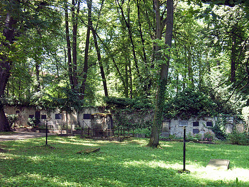 Historischer Friedhof